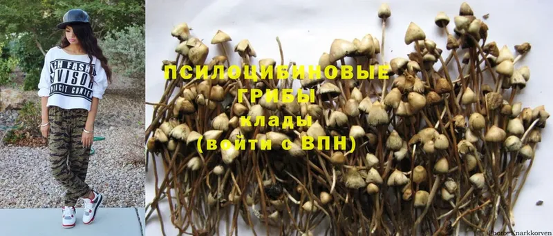 Псилоцибиновые грибы MAGIC MUSHROOMS  Елец 